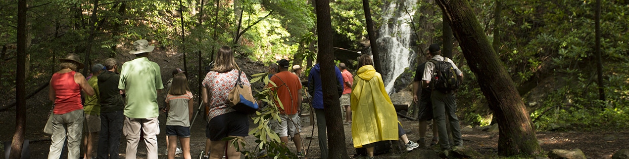 pigeon forge events