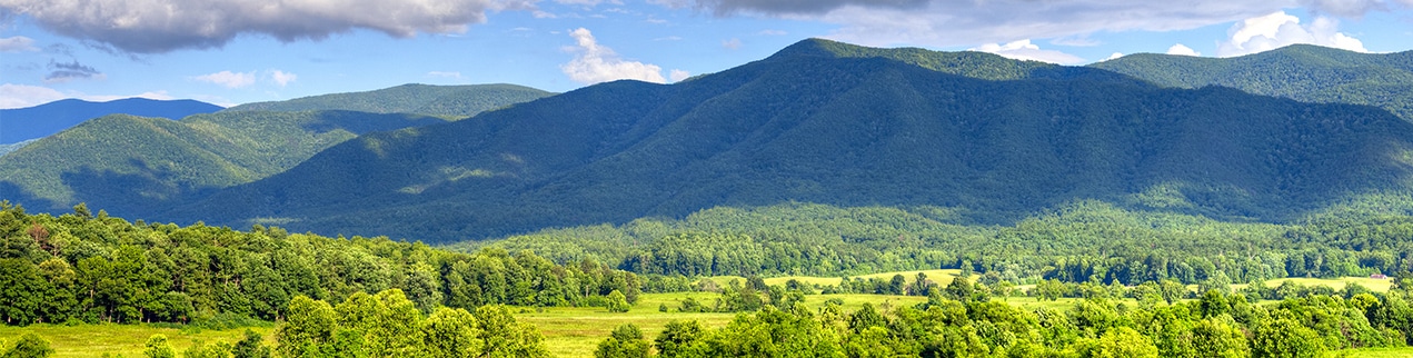 pigeon forge deals