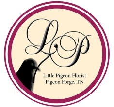 Little Pigeon Florist