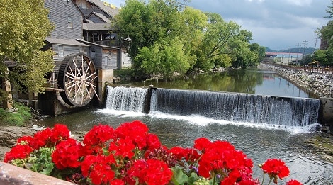 Old Mill with red flowers