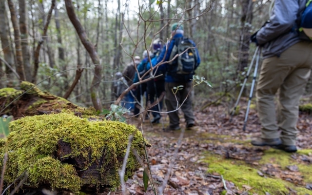 Wilderness Wildlife Week guided hikes