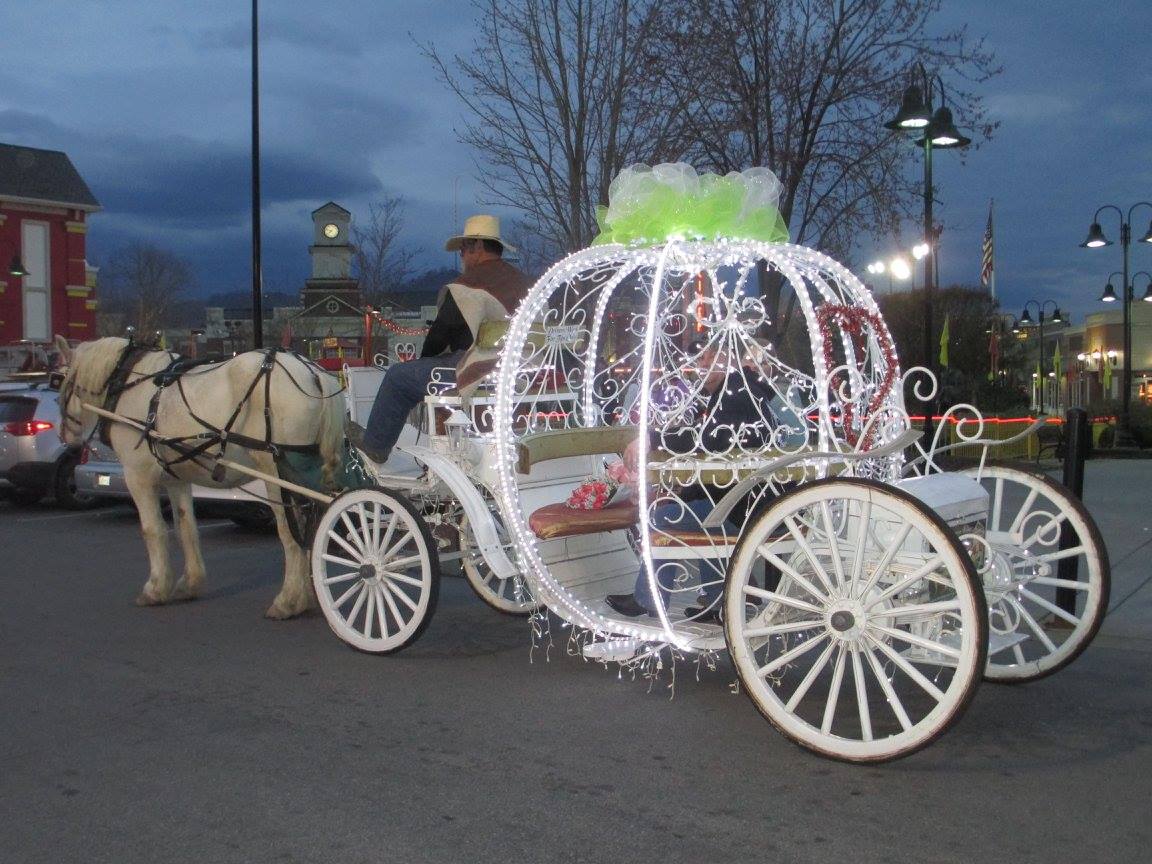 horse and carriage tours