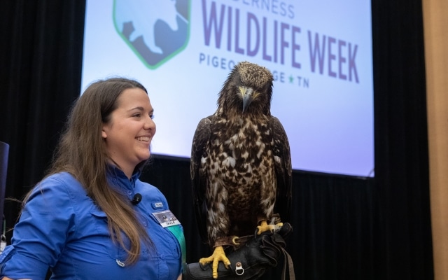 Wilderness Wildlife Week speakers