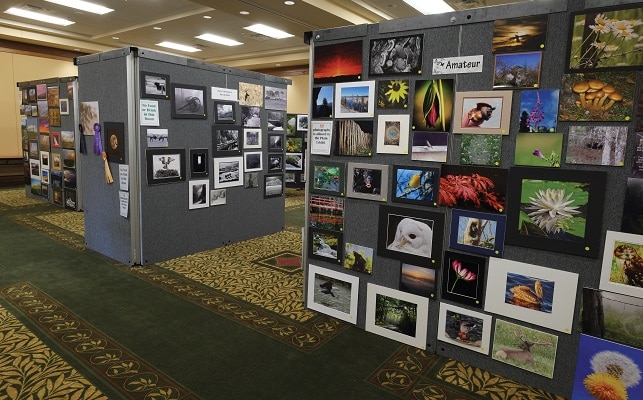 Wilderness Wildlife Week - Hiking and Outdoor Event in Pigeon Forge