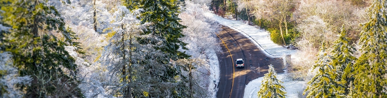 Winter in Pigeon Forge TN