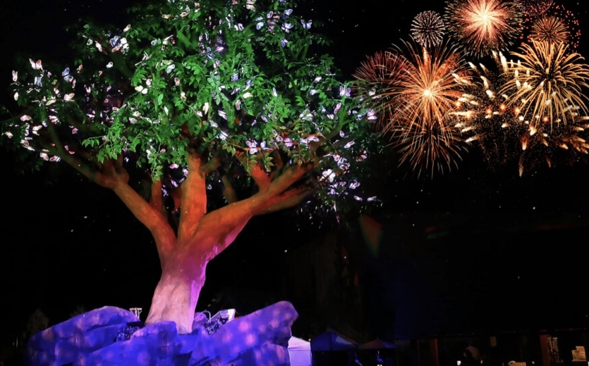 Dollywood summer fireworks