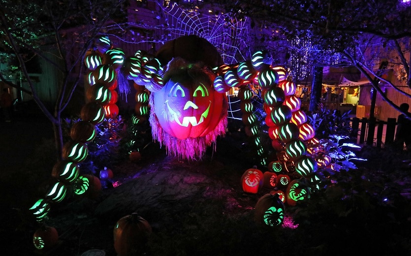 Spider at Dollywood's Great Pumpkin LumiNights