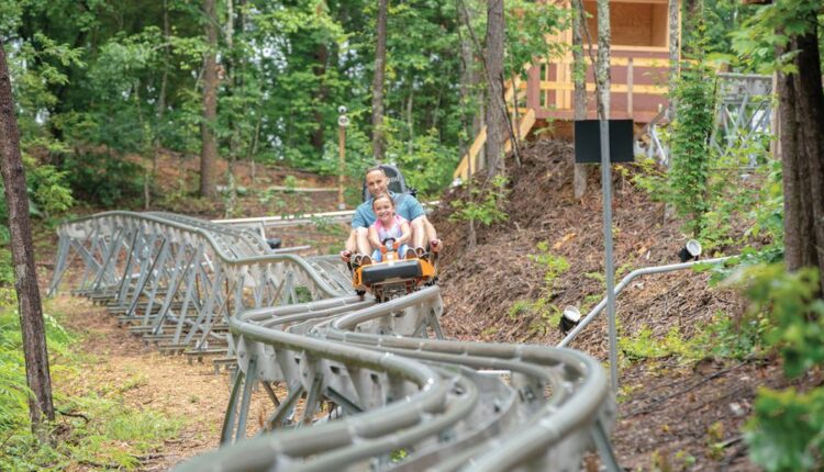 Take a thrilling ride on a Pigeon Forge alpine coaster.