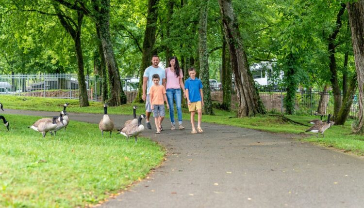 Stroll the Riverwalk and watch the ducks at Little Pigeon River.