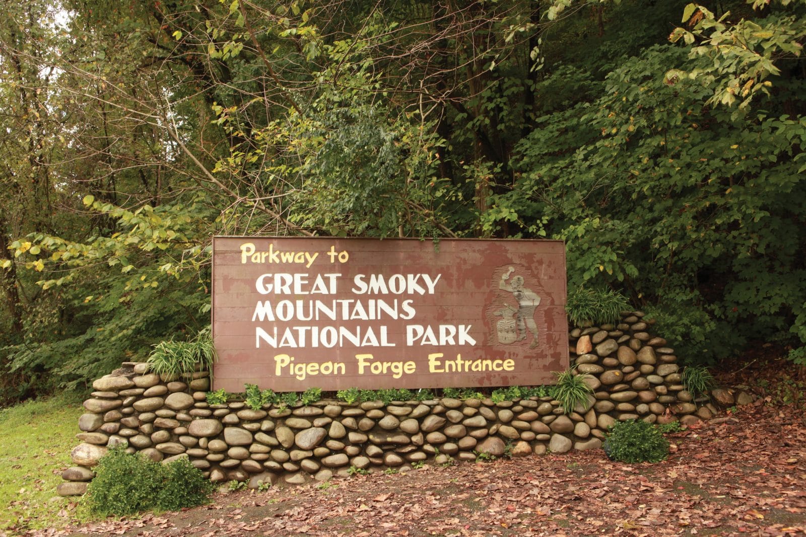 Top 10 Things to Do on Your First Visit to Pigeon My Pigeon