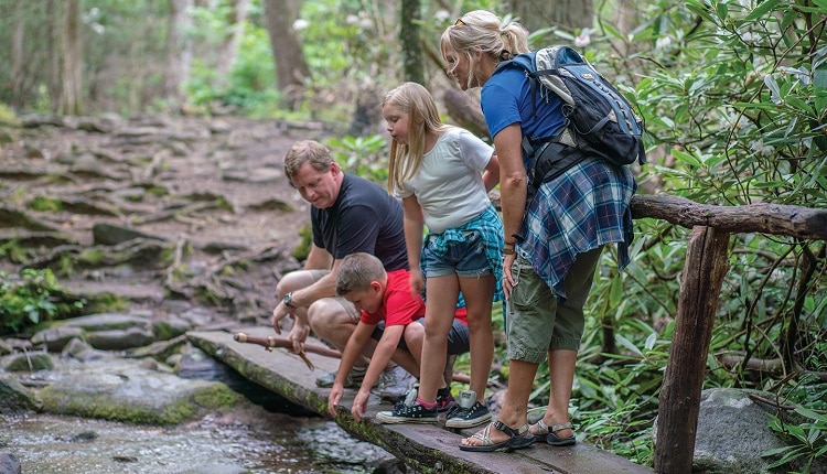 Visit Great Smoky Mountains National Park for fun and free things to do in Pigeon Forge