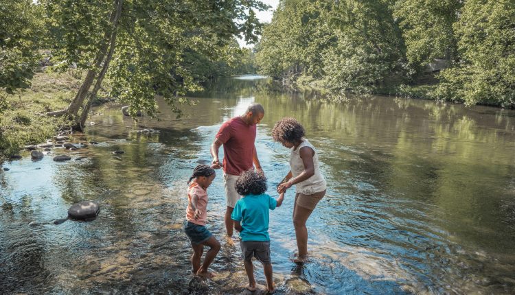 Smoky Mountain River