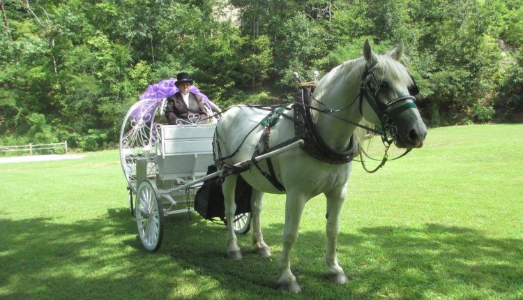 Heritage Carriage Rides in Pigeon Forge TN