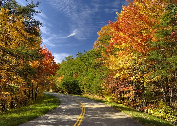 Scenic Drive to View Fall Colors in Great Smoky Mountain National Park