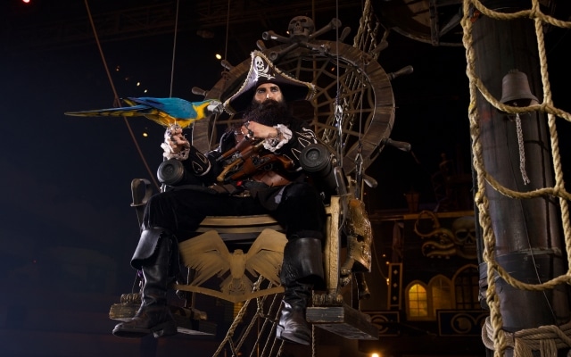 pirates voyage dinner & show in pigeon forge tn