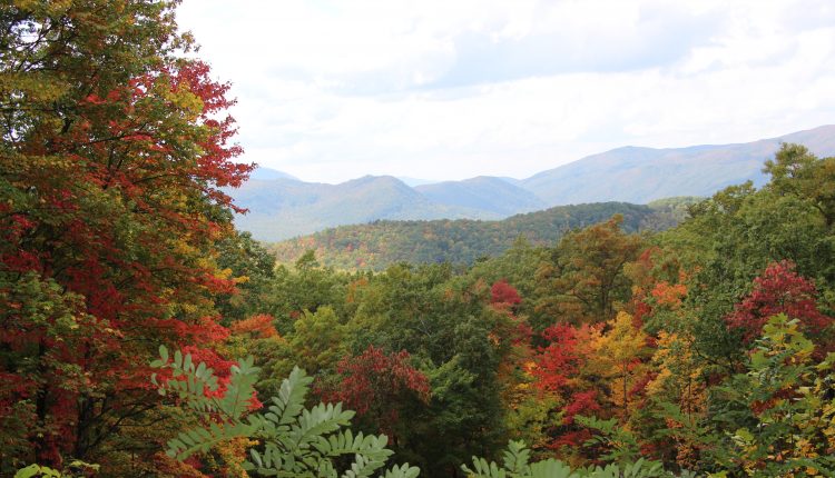 Roaring Fork Trail - Scenic Drive in the Smoky Mountains