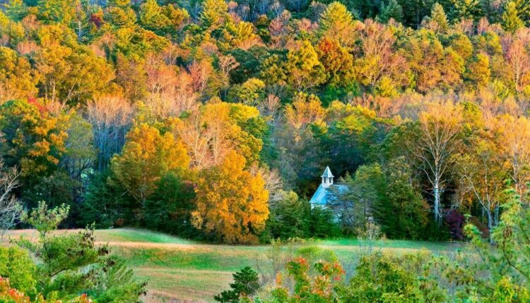 Fall colors on Rich Mountain Road in Cades Cove