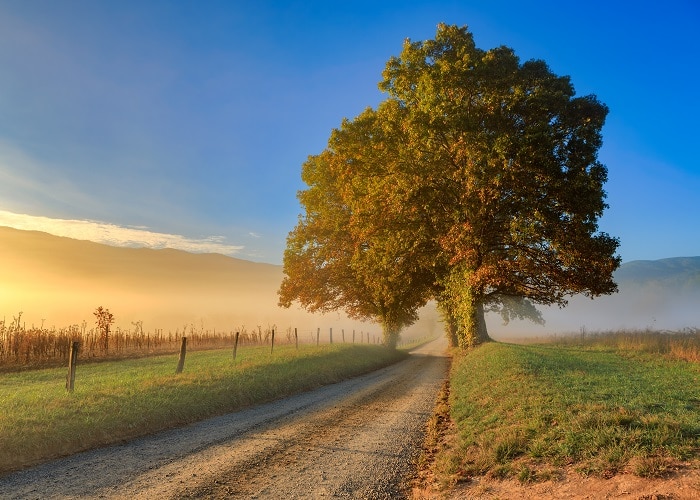 Cades Cove - Best Scenic Drives in Great Smoky Mountains National Park