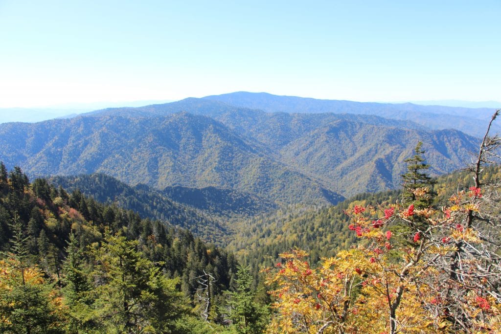 Smokies