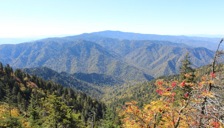 great smoky mountain national park