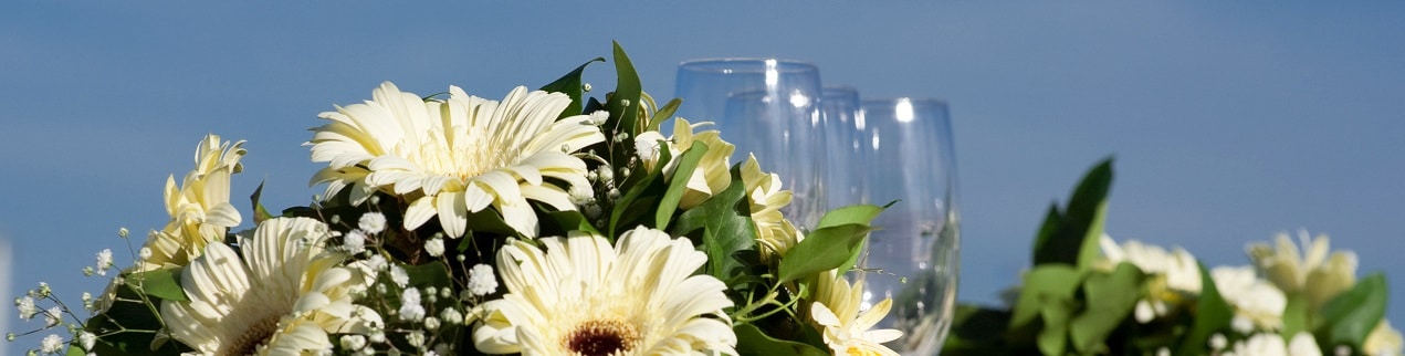 Wedding Planning in Pigeon Forge Tennessee