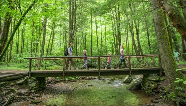 Family spring hike in Great Smoky Mountains National Park