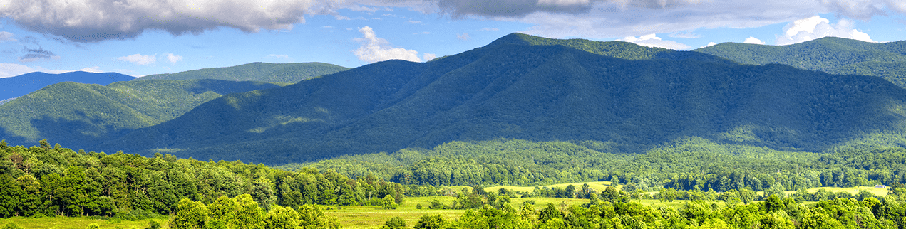 Spring in Pigeon Forge and the Smoky Mountains