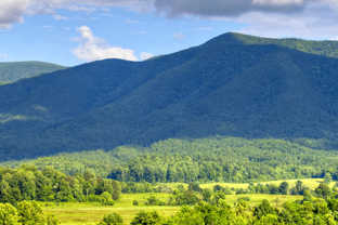 smoky-mountains-spring