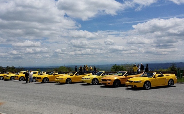 Yellow Mustang Registry Gathering in Pigeon Forge TN