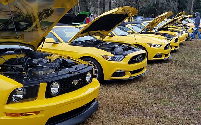 Yellow Mustang Registry Gathering in Pigeon Forge TN