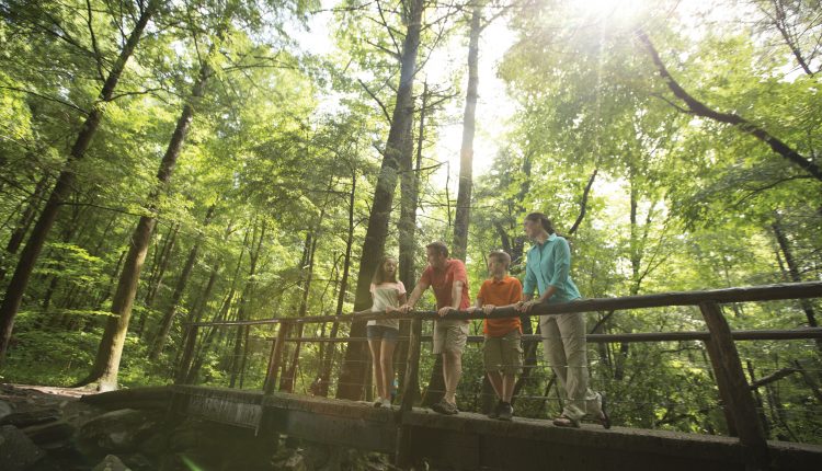 Family on Hiking Trail in Great Smoky Mountains National Park