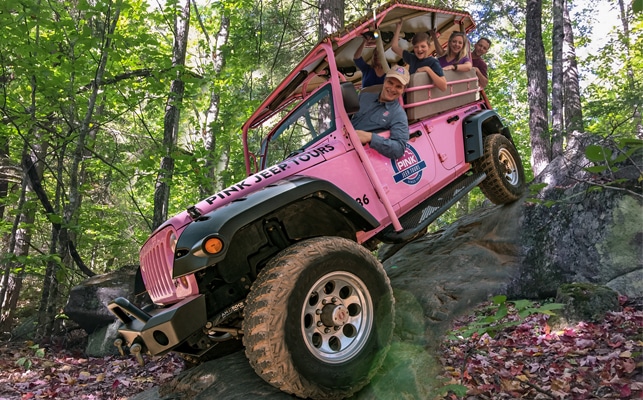 Pink Jeep Tours - Jeep Foliage