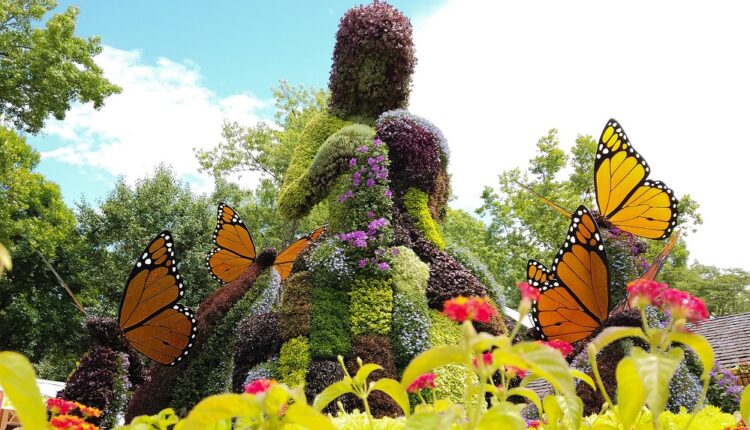 Coat of Many Colors plant sculpture at the Dollywood Flower & Food Festival