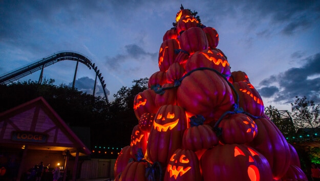 Pumpkin Tree for Great Pumpkin LumiNights at Dollywood's Harvest Festival