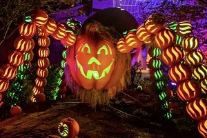 Great Pumpkin LumiNights at Dollywood's Harvest Festival