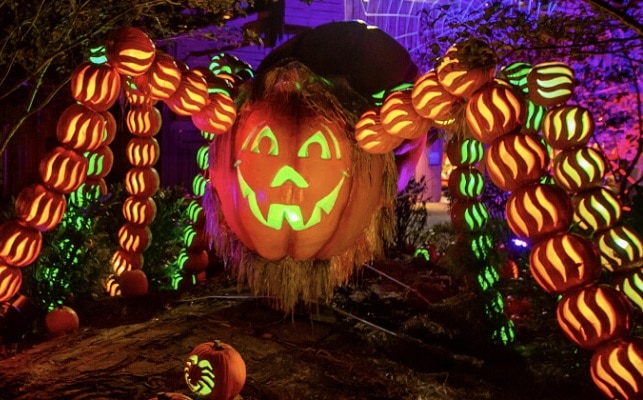 Great Pumpkin LumiNights Spider