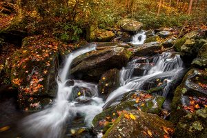 Roaring Fork Motor Nature Trail at Great Smoky Mountains National Park