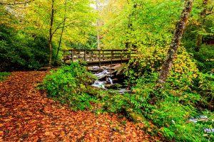Chimney Tops Trail at Great Smoky Mountains National Park