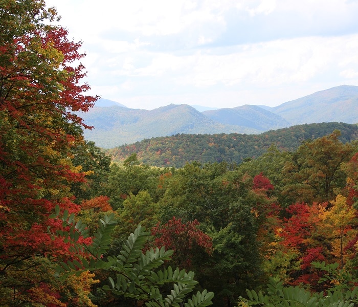 Peak Leaves Smoky Mountains Top 5 Places To See Smoky Mountain Fall Colors In Pigeon Forge