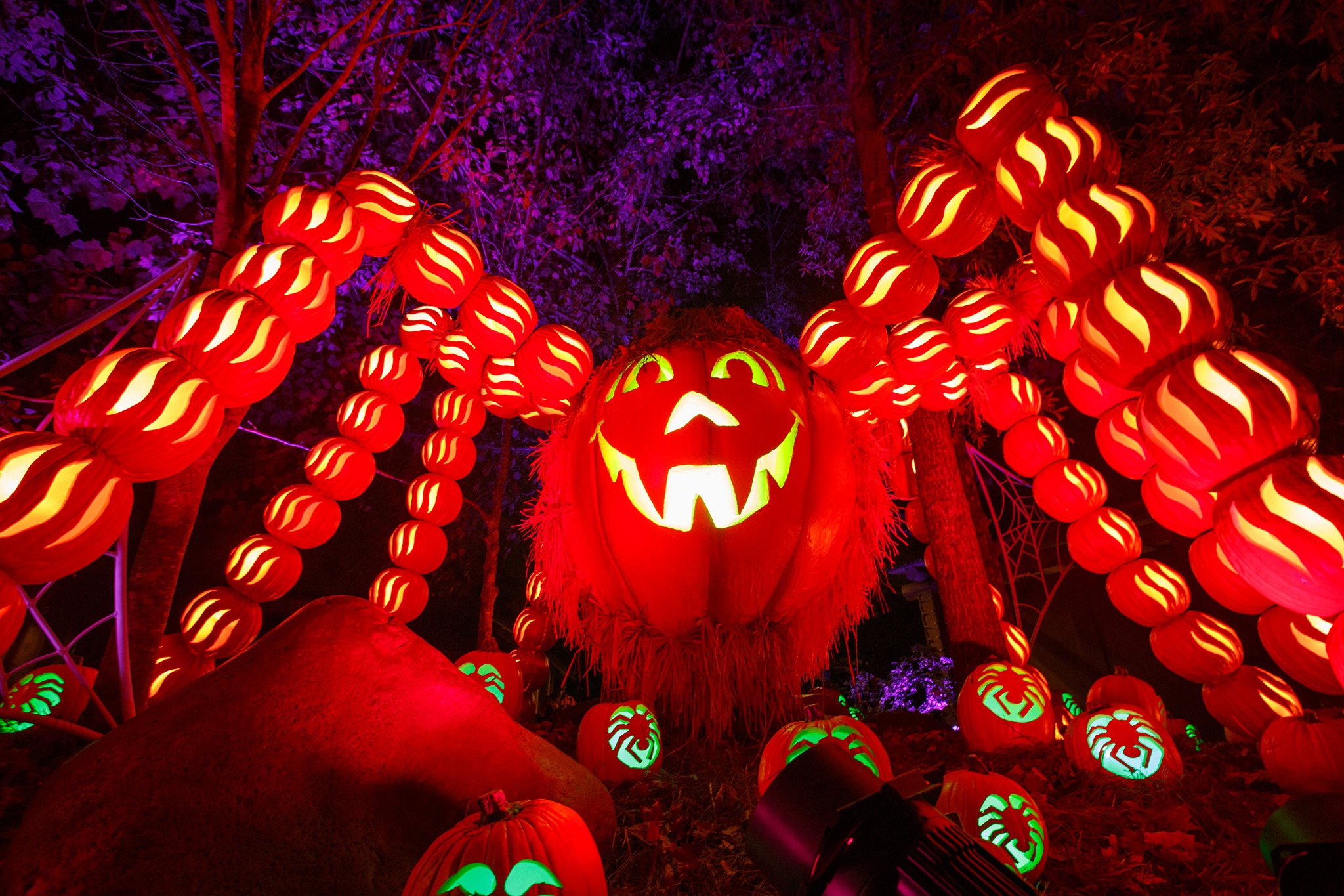 Halloween Events in Pigeon the Whole Family Will Love