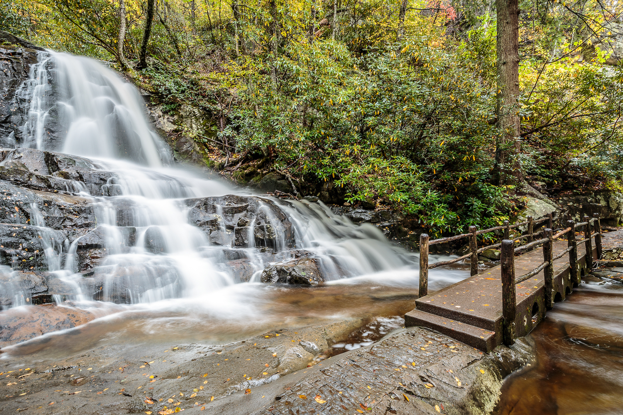 Laurel Falls - Best Fall Hikes in the Great Smoky Mountains