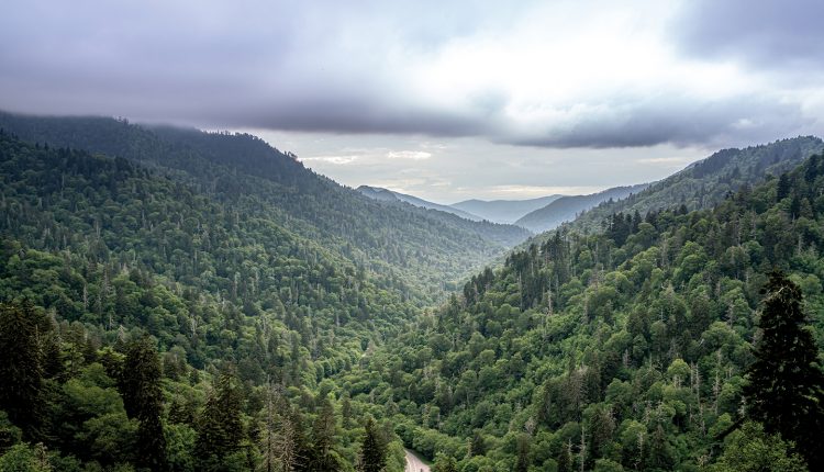 A breathtaking view of the Great Smoky Mountains