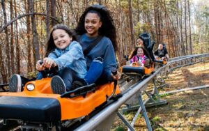 Rocky Top Mountain Coaster - Pigeon Forge, Tennessee