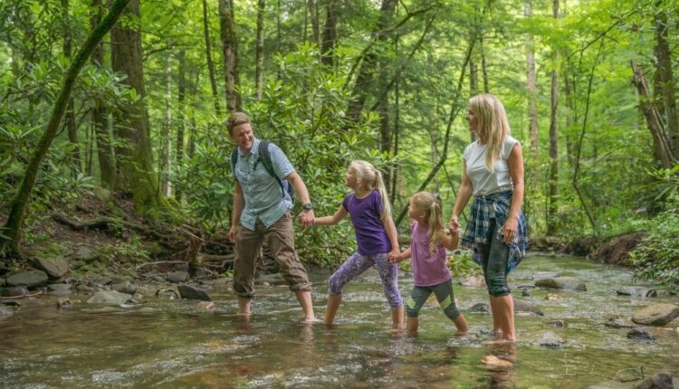 Spring in Great Smoky Mountains National Park