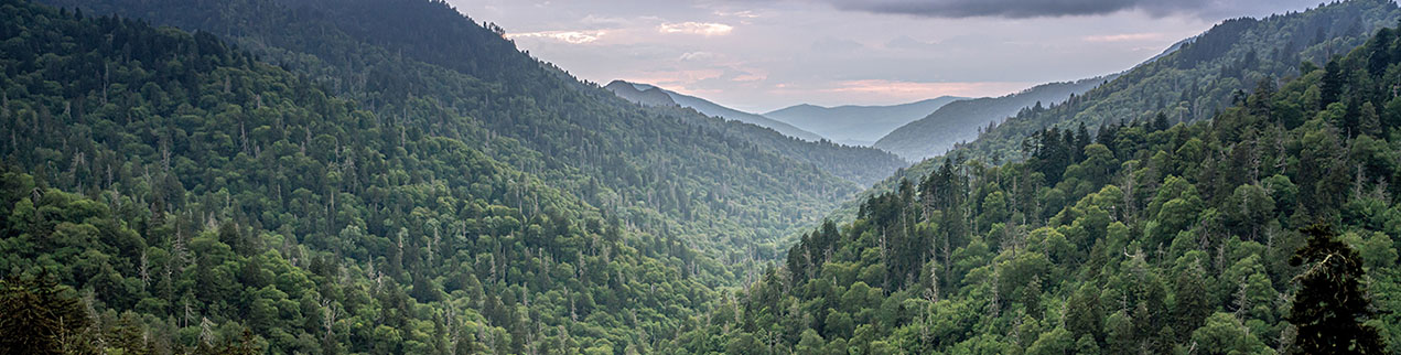 New Flight Routes to Knoxville Airport | My Pigeon Forge