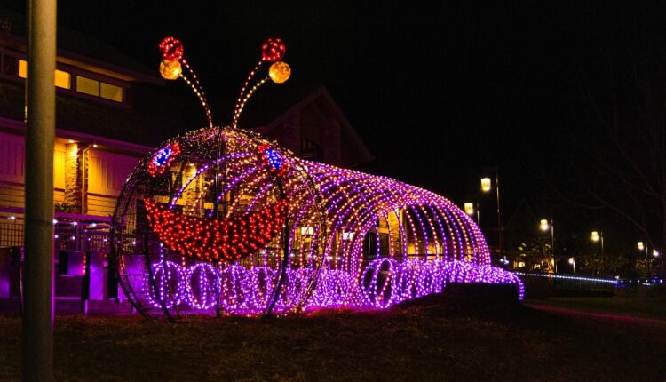 See the lights of Winterfest during February in Pigeon Forge