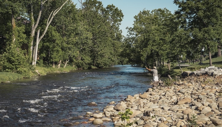Fishing is a popular pastime on the Little Pigeon River