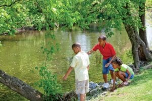 Fun and Free Things to Do on the Little Pigeon River
