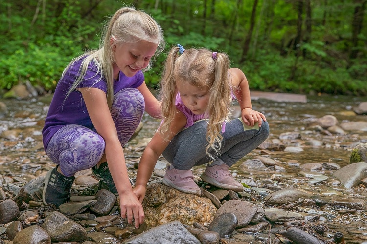 Explore Great Smoky Mountains National Park from Home