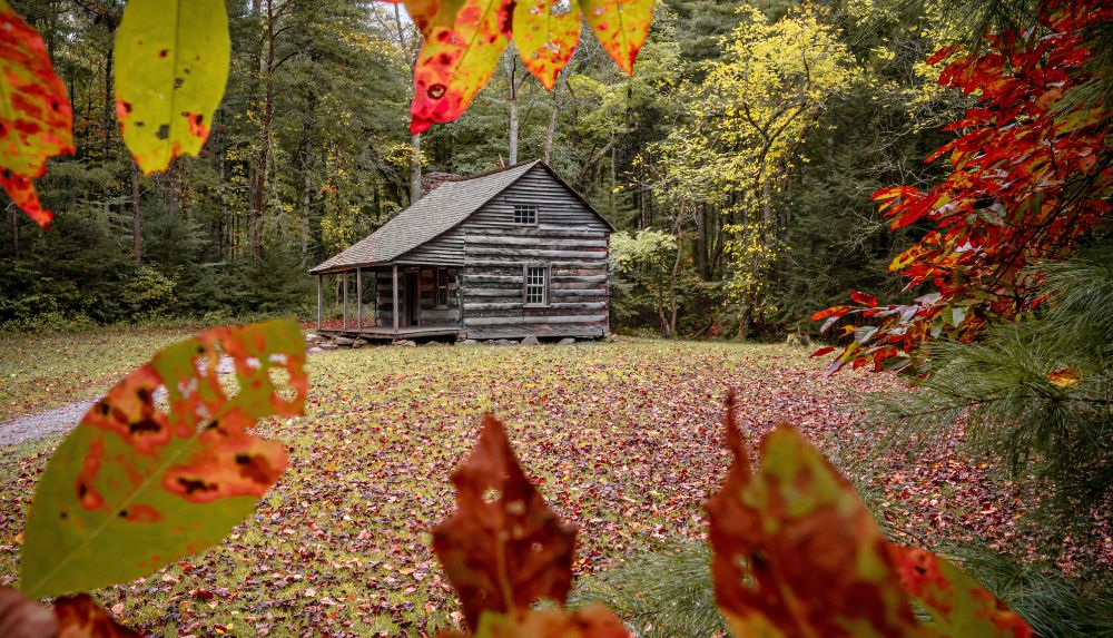 Fall foliage at historic cabin in Cades Cove